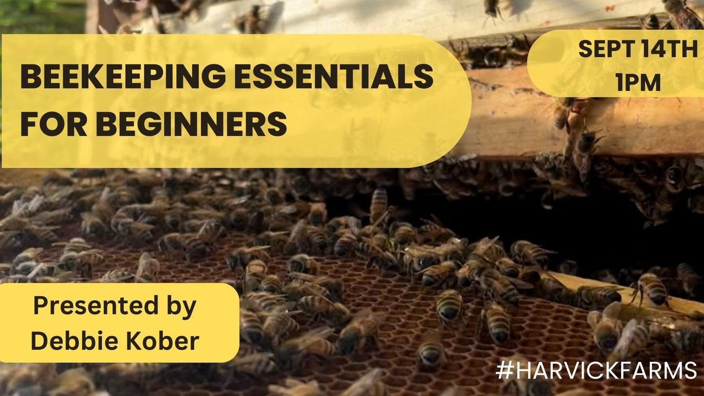 Beekeeping Essentials for Beginners: A Guide to Starting Your Beekeeping Journey 9/14 1pm