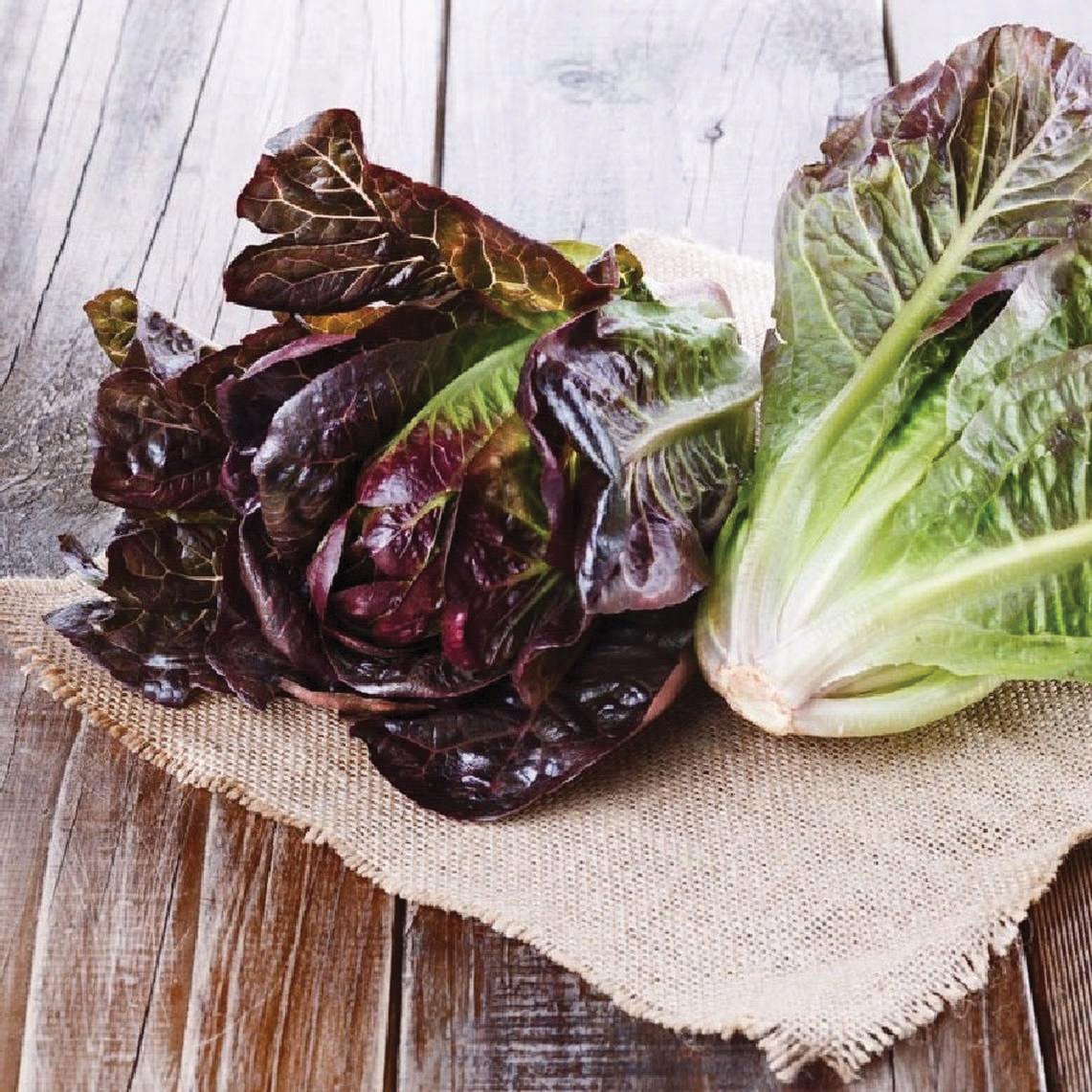Red Romaine Lettuce - Harvick Farms