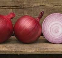 Onions - Harvick Farms
