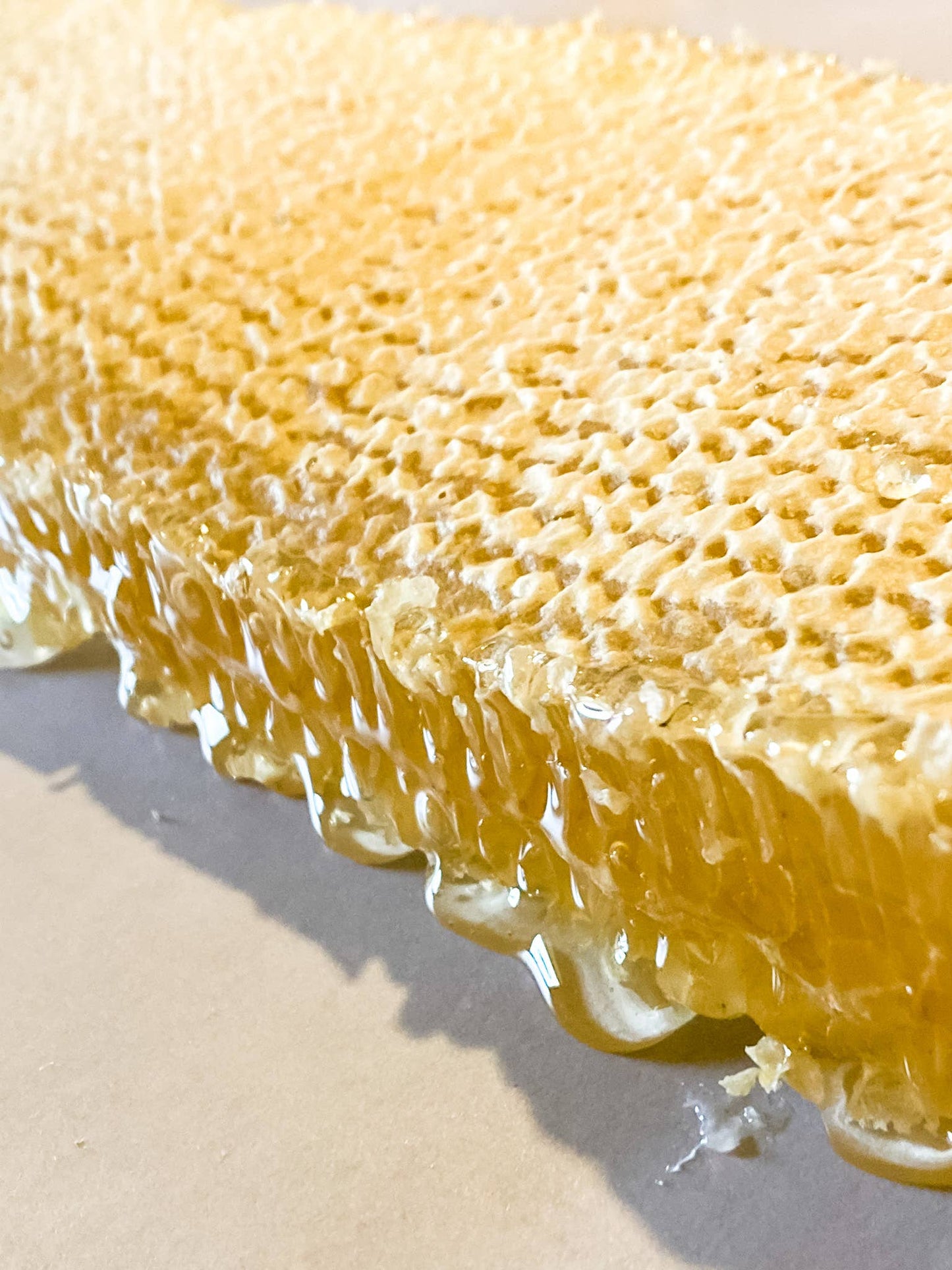 Honey Sticks Wildflower Honey- Pack of 16 Messner Bee Farm