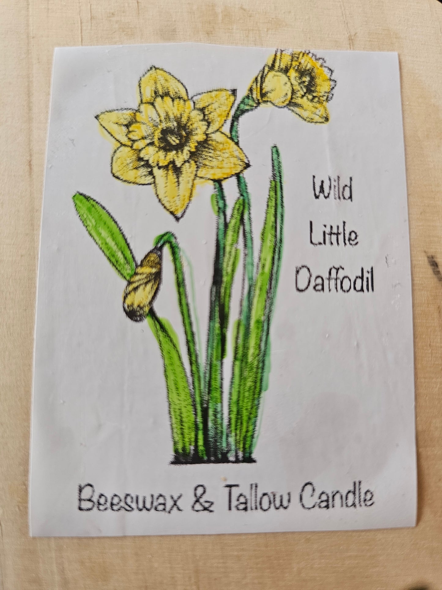 Wild Little Daffodil Candles