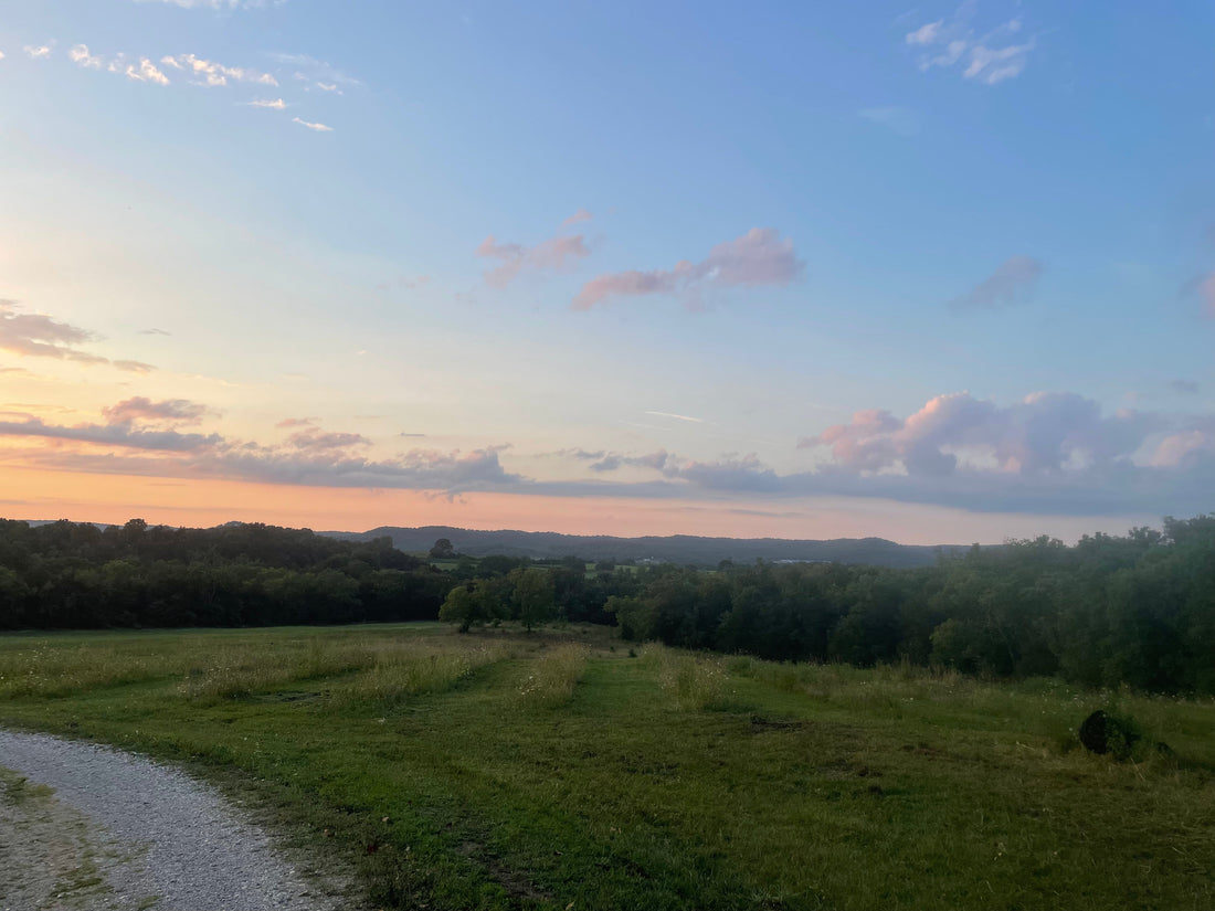 How to Blend Sunset on the Farm Blend Harvick Farms