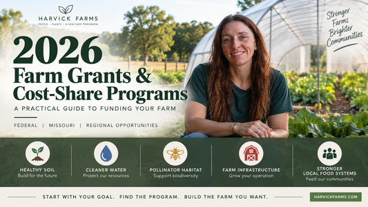 A Practical Guide to Funding Your Farm