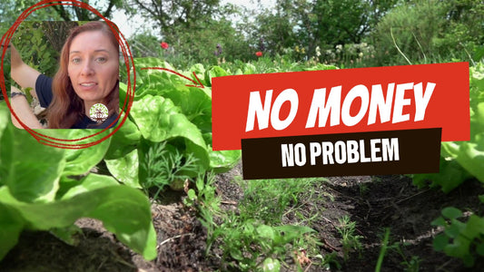 How I Built Harvick Farms Using USDA Grants & Funding Strategies - Harvick Farms