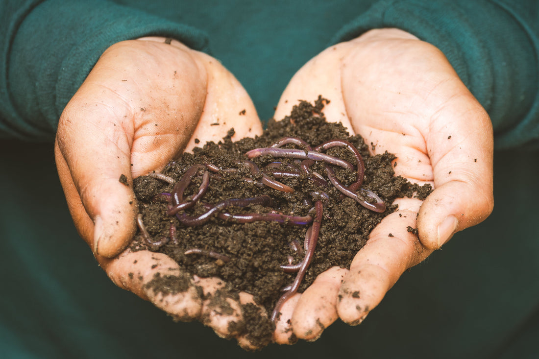 How Much Soil Do I Need? Harvick Farms