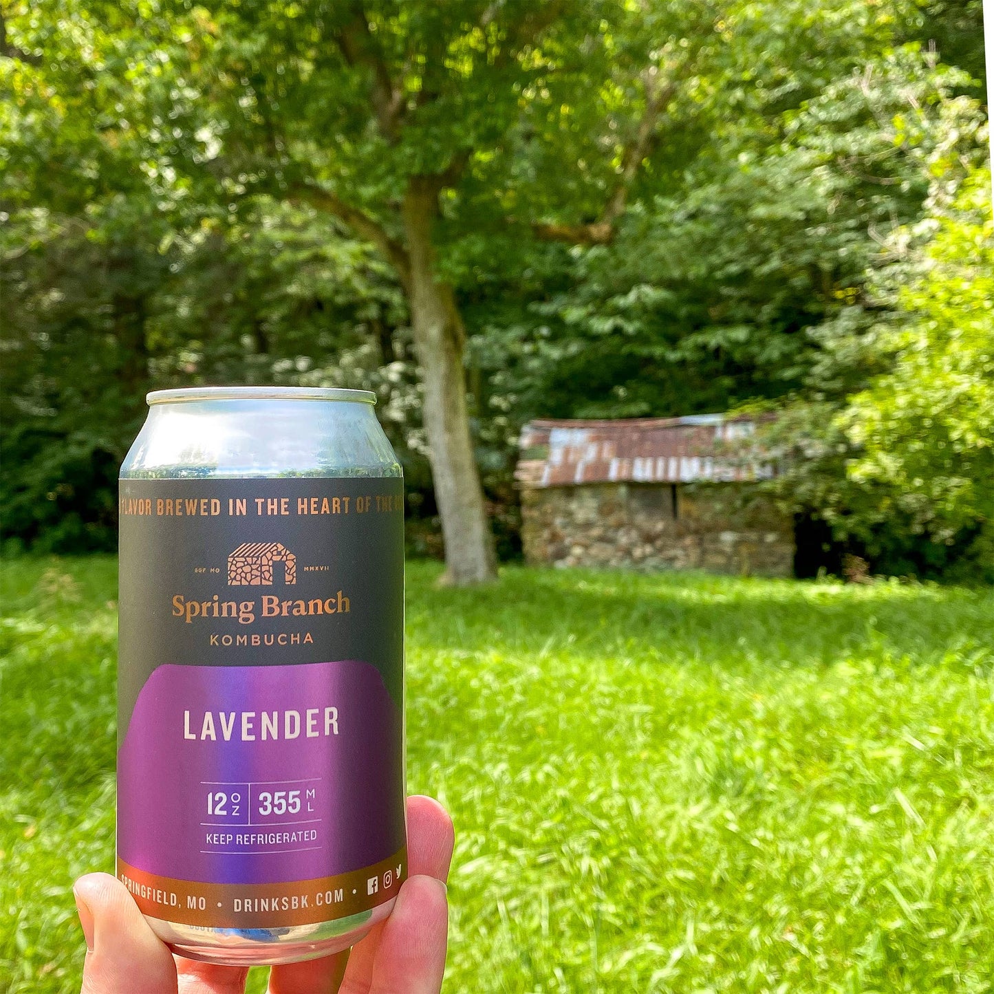 Zen Trio Kombucha Variety 12-Pack Spring Branch Kombucha
