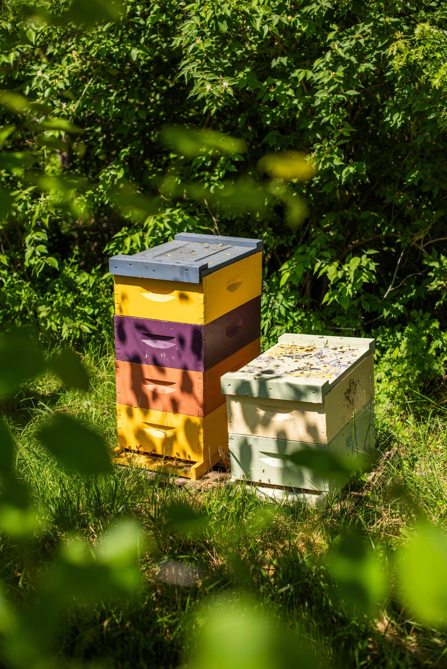 Mango Habanero - Infused Honey / Tropical & Spicy / 12oz Messner Bee Farm