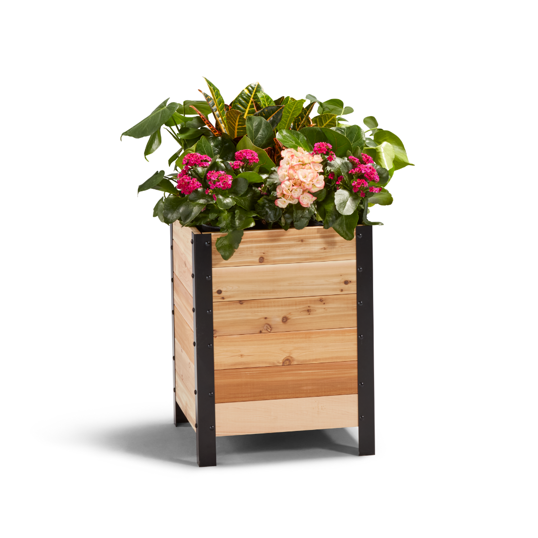 18″ x 18″ Planter Box - 24" TALL / Select Grade - Harvick Farms 