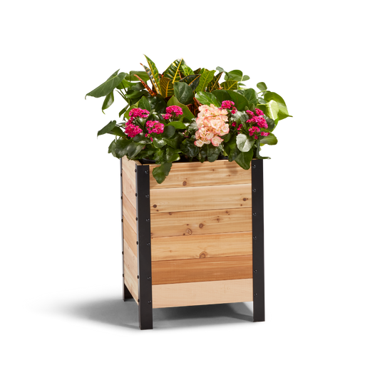 18″ x 18″ Planter Box - 24" TALL / Select Grade - Harvick Farms 