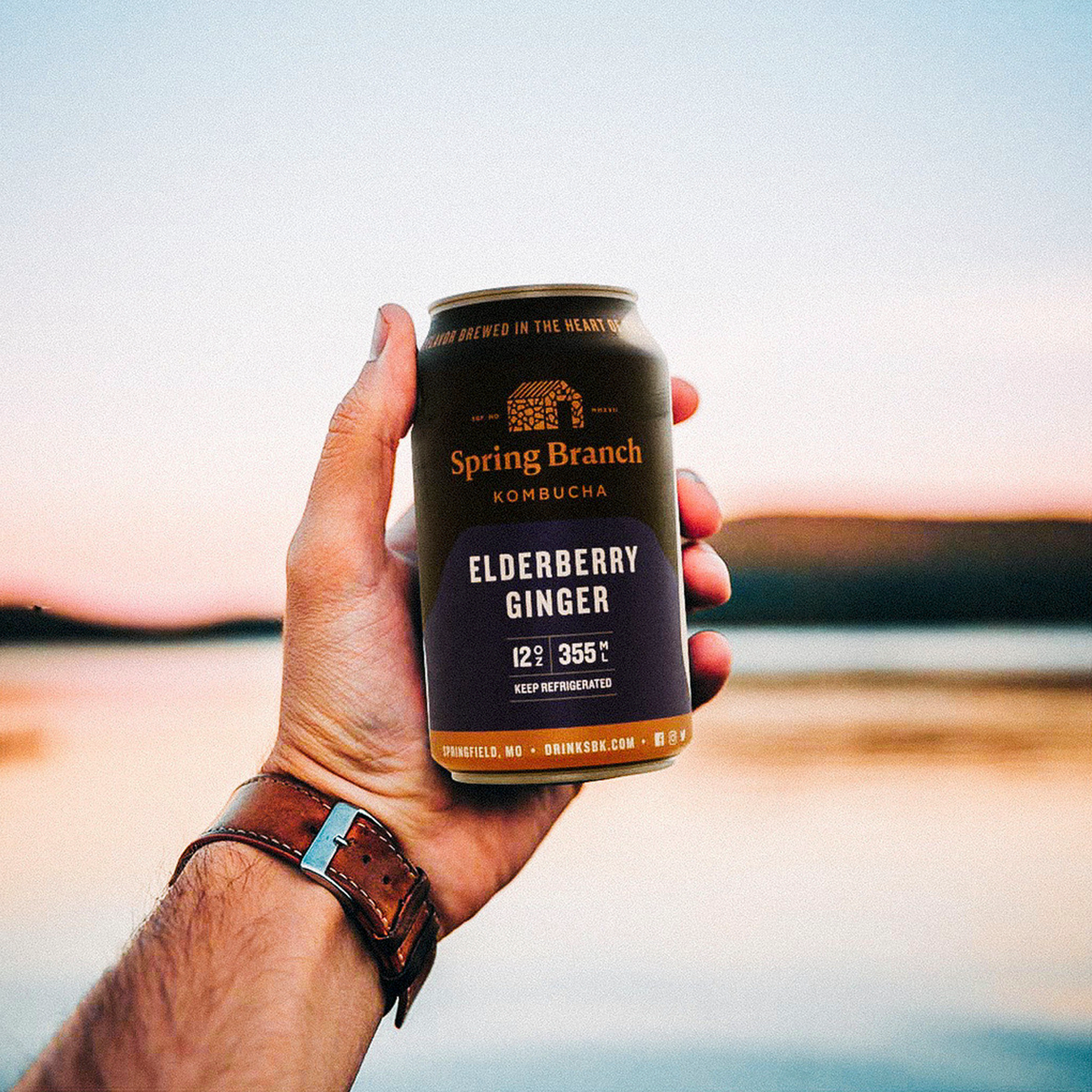 Elderberry Ginger Kombucha - Low Sugar, Gluten-Free, 12 oz Spring Branch Kombucha