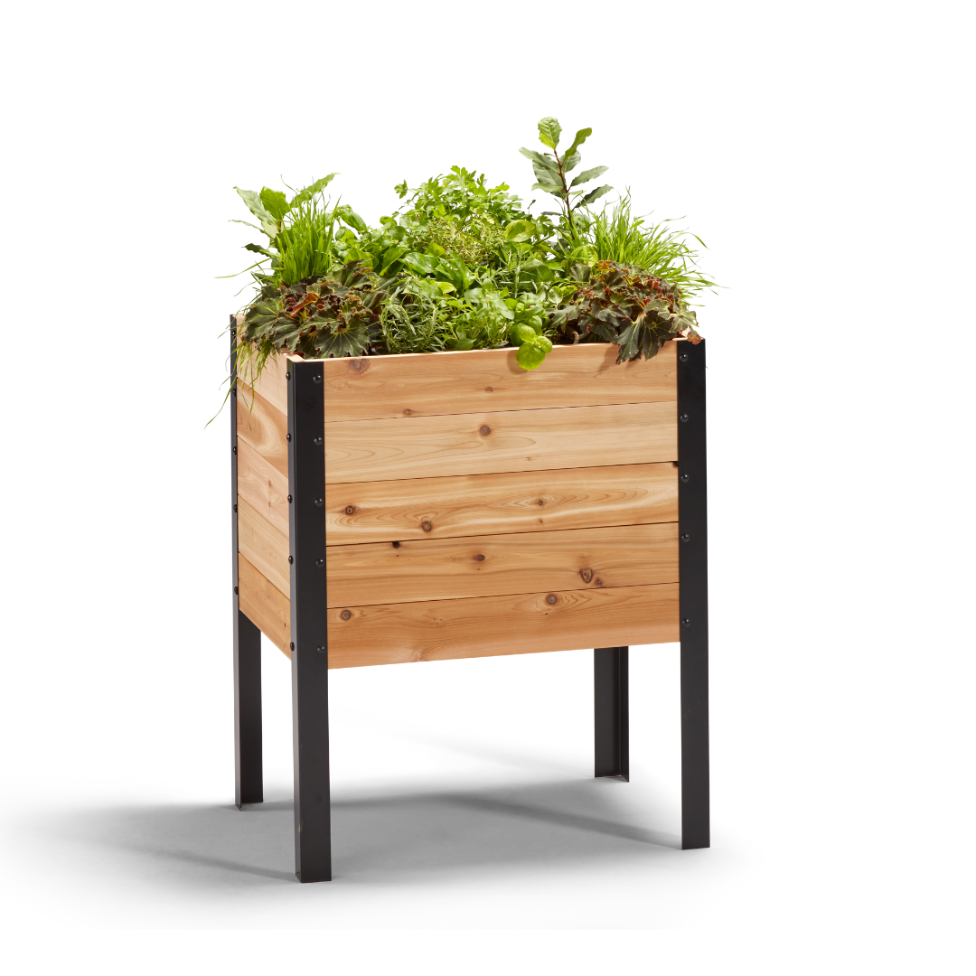 18″ x 24″ Deep Root Raised Garden Bed - 30″ TALL / Select Grade - Harvick Farms 