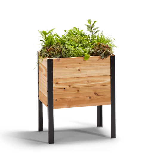 18″ x 24″ Deep Root Raised Garden Bed - 30″ TALL / Select Grade - Harvick Farms 