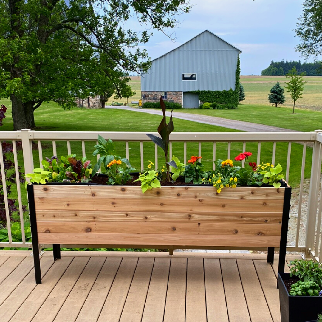 18″ x 72″ Deep Root Raised Garden Bed - 30″ TALL / Select Grade - Harvick Farms 