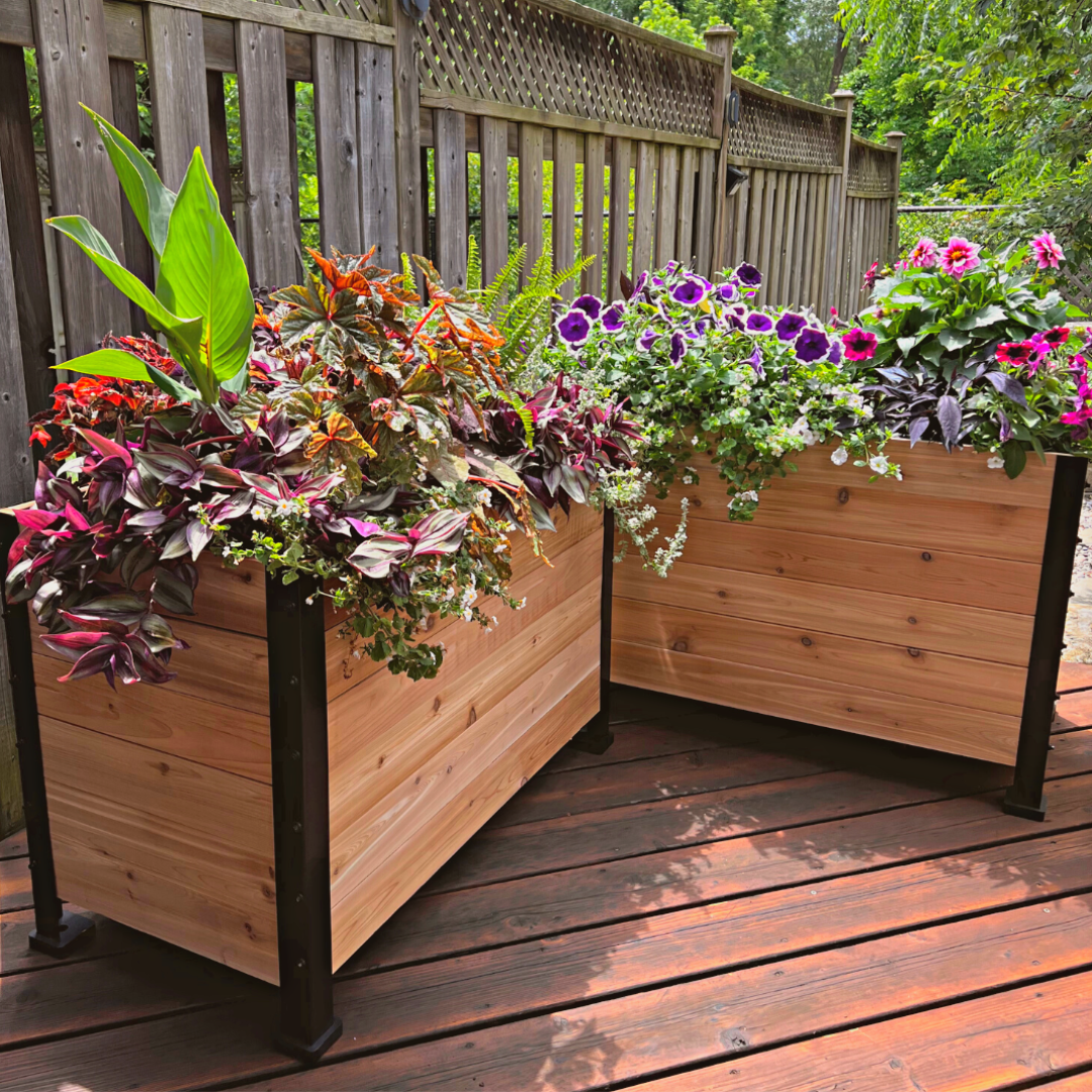 18" x 36" Planter Box - 24" TALL / Select Grade - Harvick Farms 