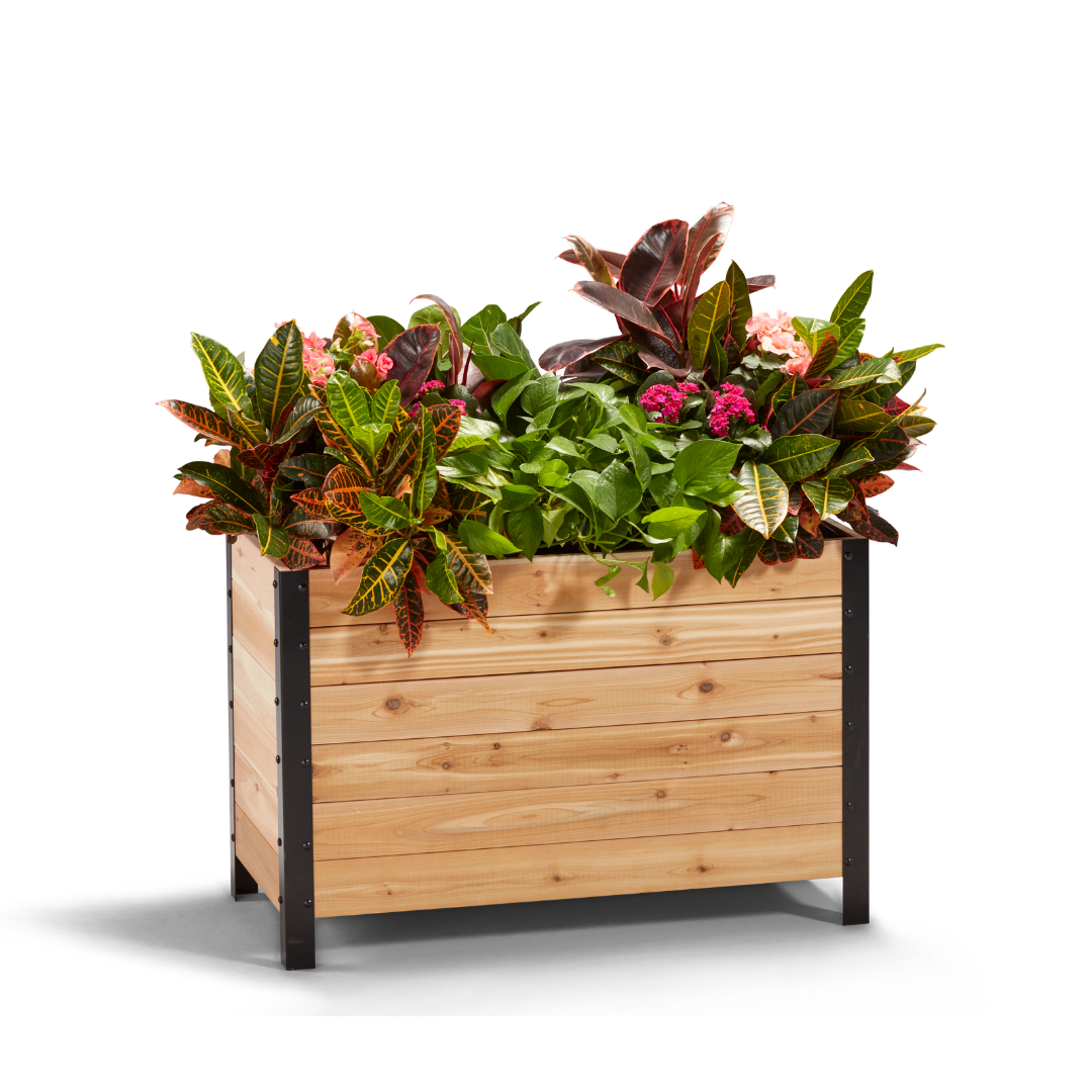 18" x 36" Planter Box - 24" TALL / Select Grade - Harvick Farms 