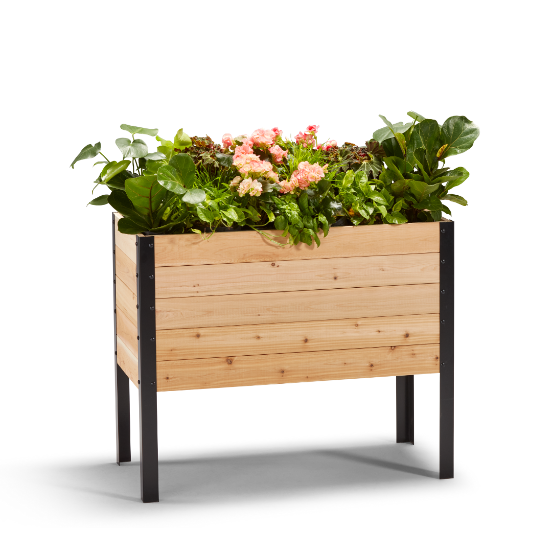 18″ x 36″ Deep Root Raised Garden Bed - 30″ TALL / Select Grade - Harvick Farms 