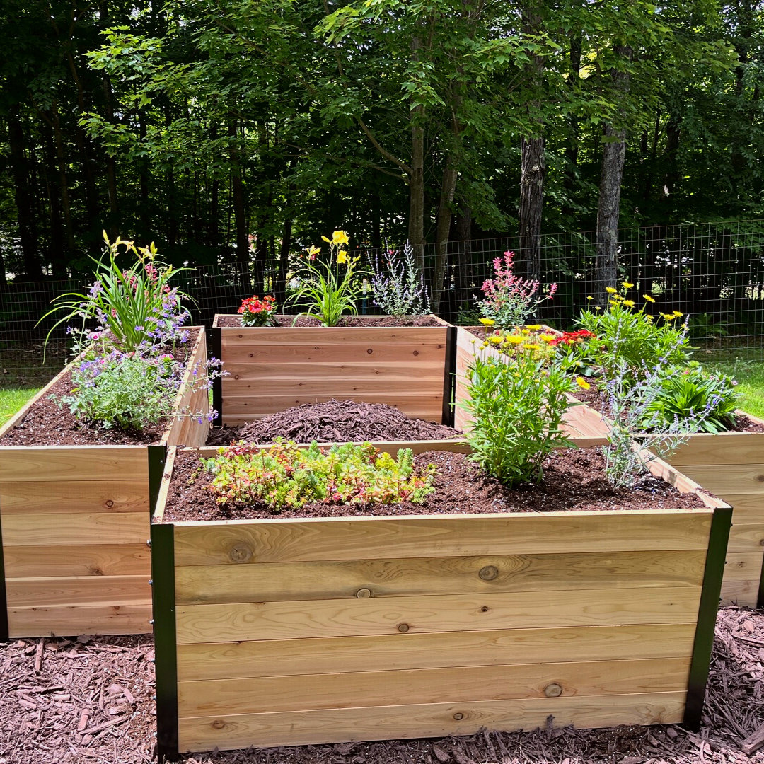 18" x 48" Planter Box - 24" TALL / Select Grade - Harvick Farms 