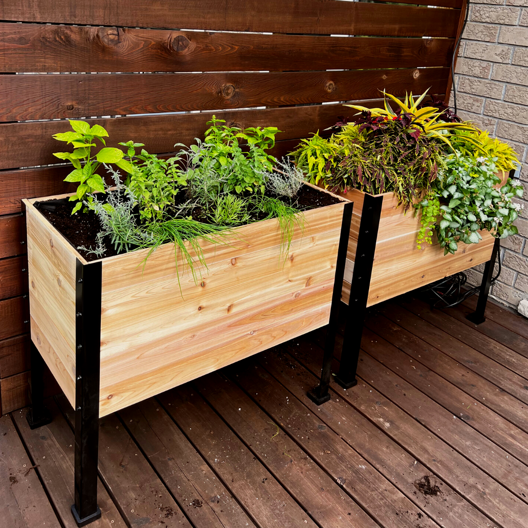 18″ x 36″ Deep Root Raised Garden Bed - 30″ TALL / Select Grade - Harvick Farms 