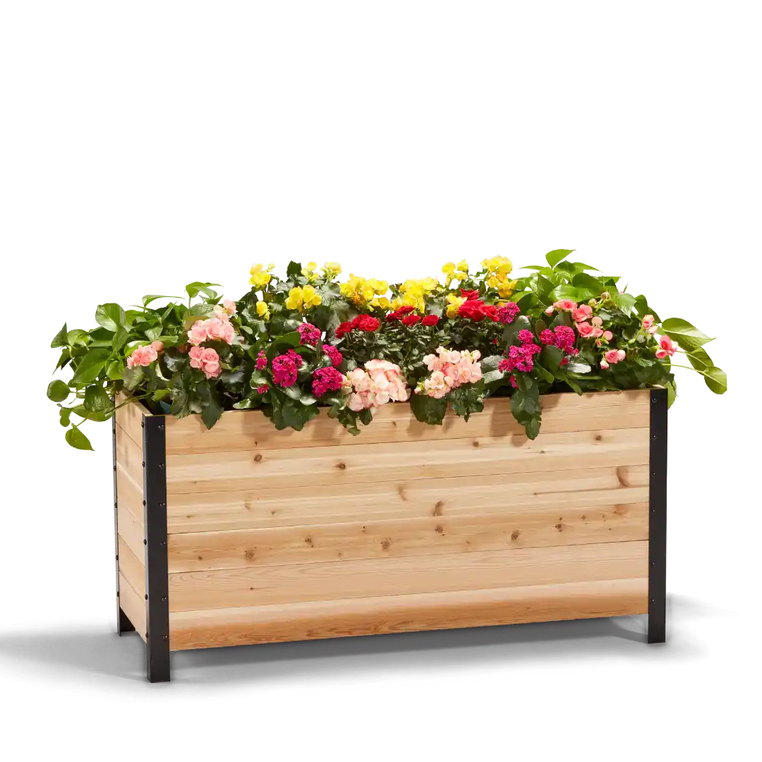 18" x 48" Planter Box - 24" TALL / Select Grade - Harvick Farms 