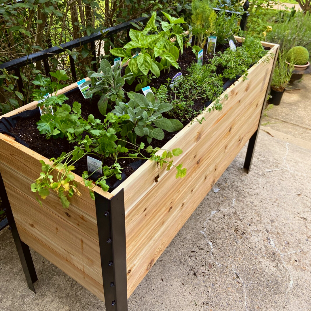 18″ x 48″ Deep Root Raised Garden Bed - 30″ TALL - Select Grade - Harvick Farms 
