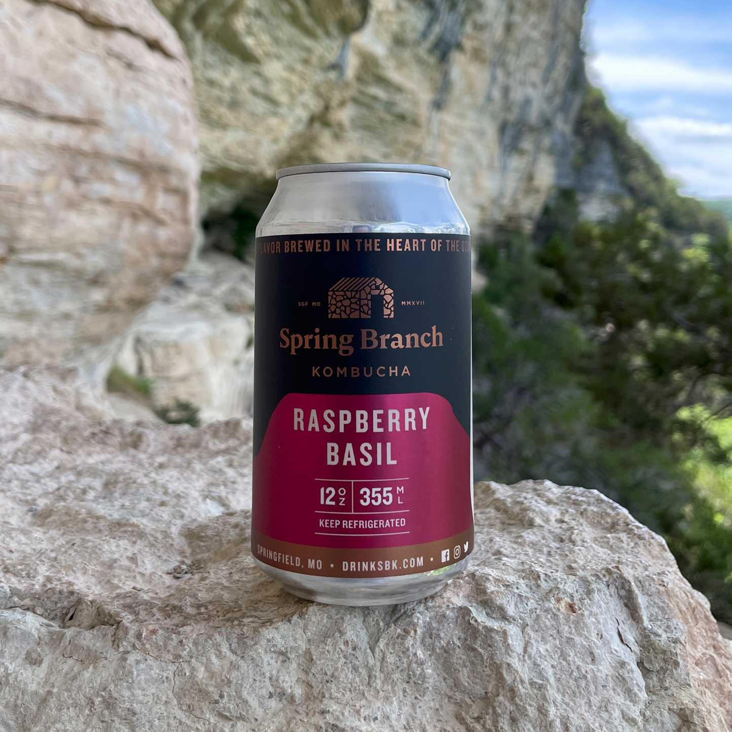 Raspberry Basil Kombucha - Low Sugar, Gluten-Free, 12 oz Spring Branch Kombucha