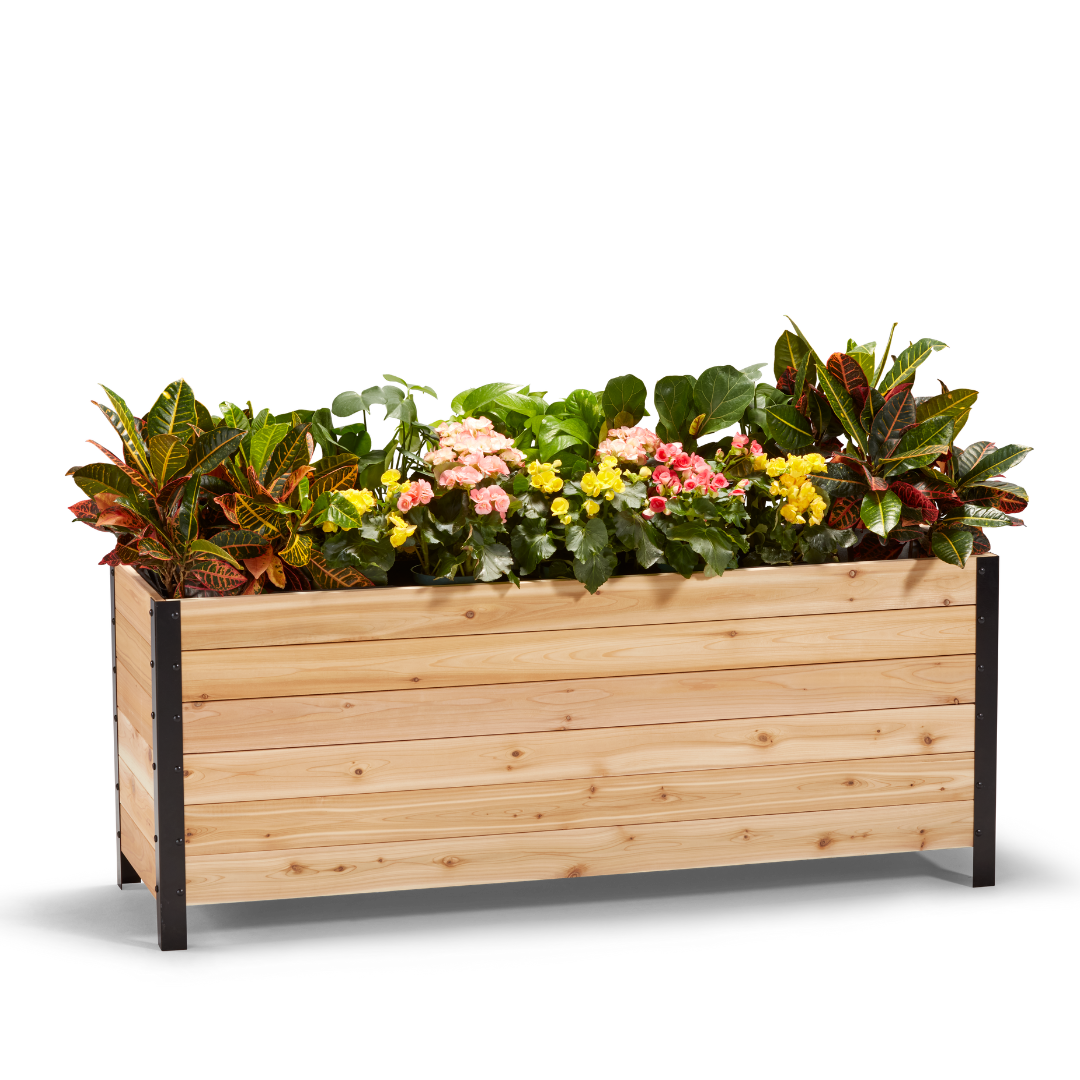 18" x 60" Planter Box - 24" TALL / Select Grade - Harvick Farms 