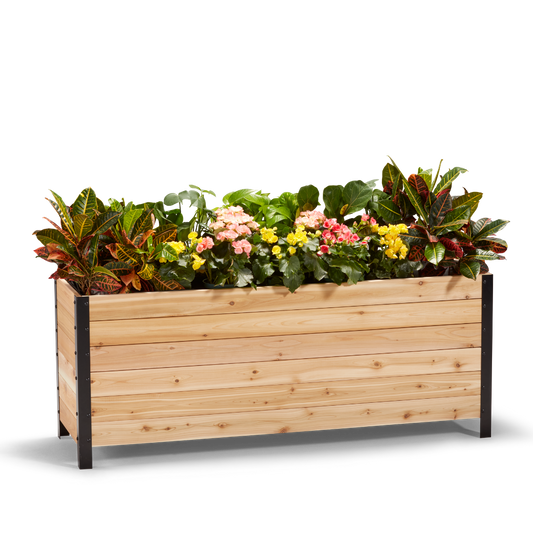 18" x 60" Planter Box - 24" TALL / Select Grade - Harvick Farms 
