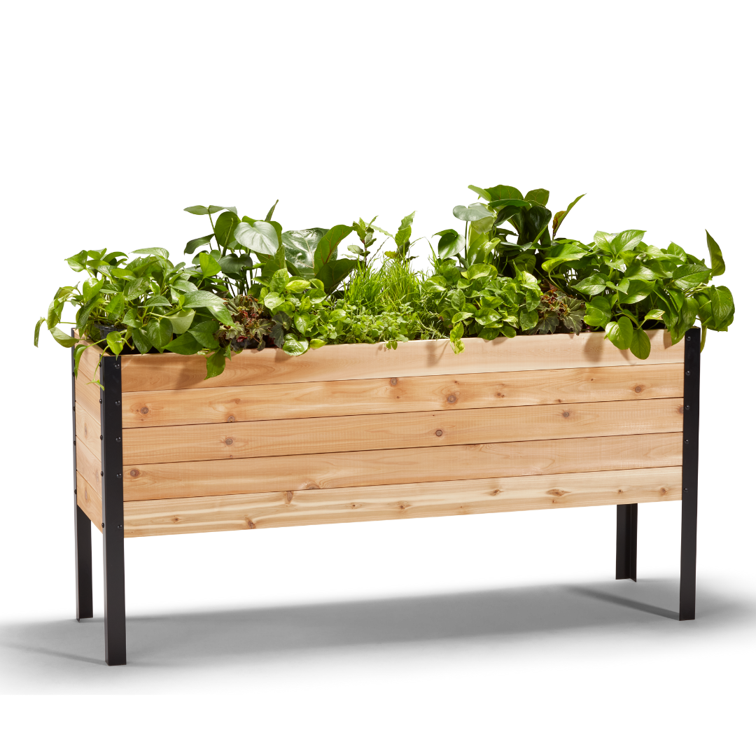 18″ x 60″ Deep Root Raised Garden Bed - 30″ TALL / Select Grade - Harvick Farms 