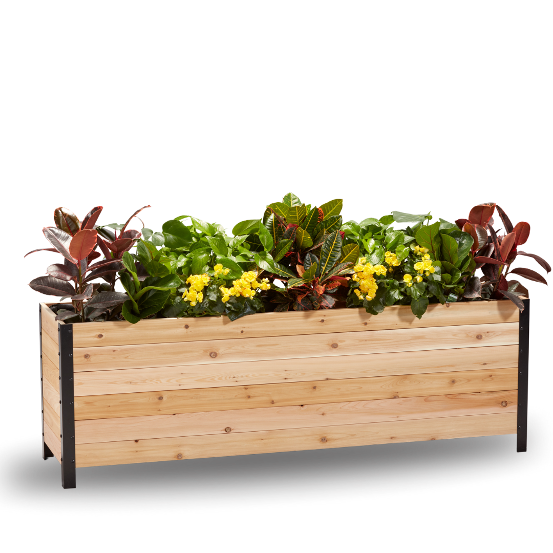 18" x 72" Planter Box - 24" TALL / Select Grade - Harvick Farms 