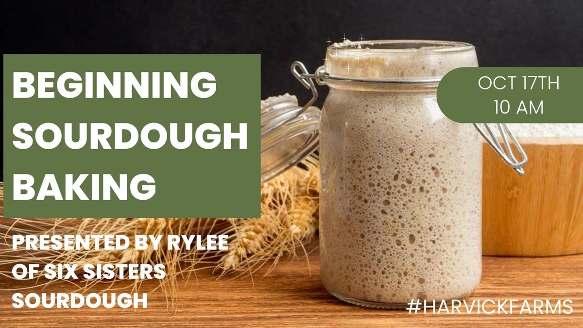 Beginning Sourdough Baking - October 17th 10am-11am - Harvick Farms 