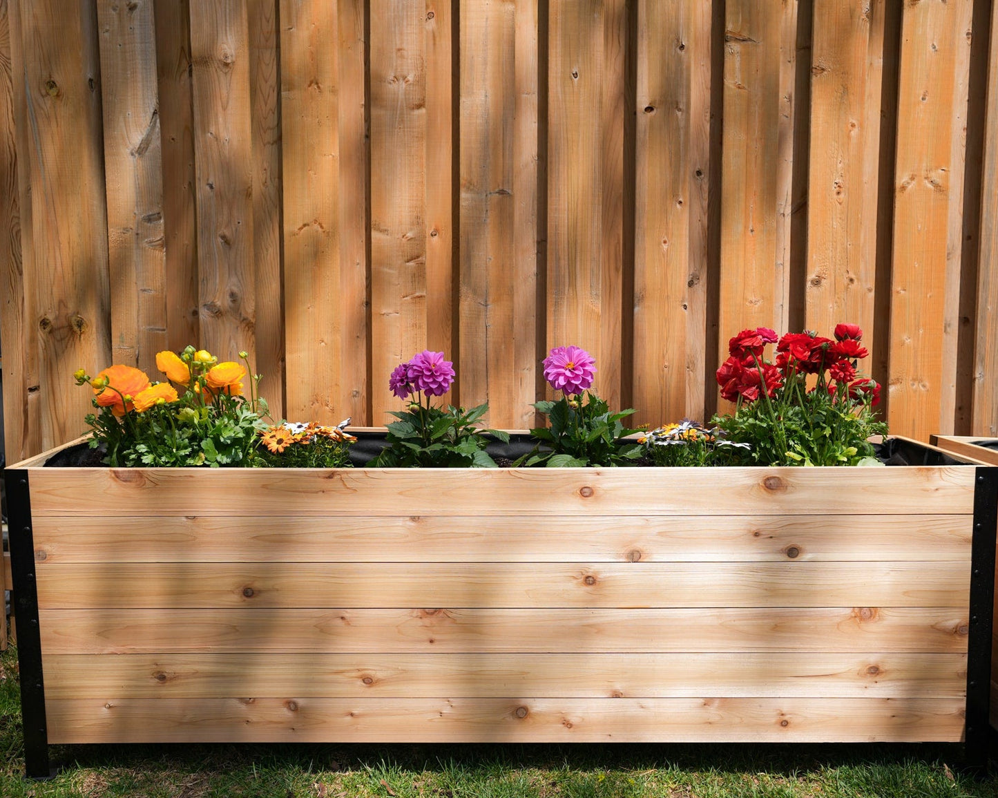 18" x 72" Planter Box - 24" TALL / Select Grade - Harvick Farms 