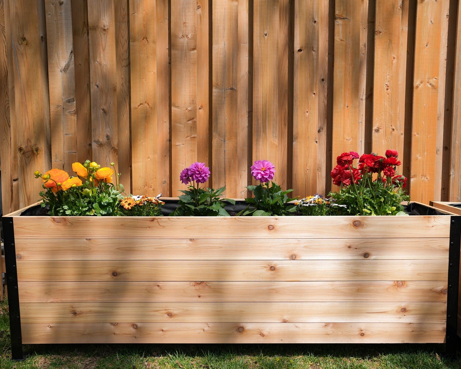 18" x 72" Planter Box - 24" TALL / Select Grade - Harvick Farms 