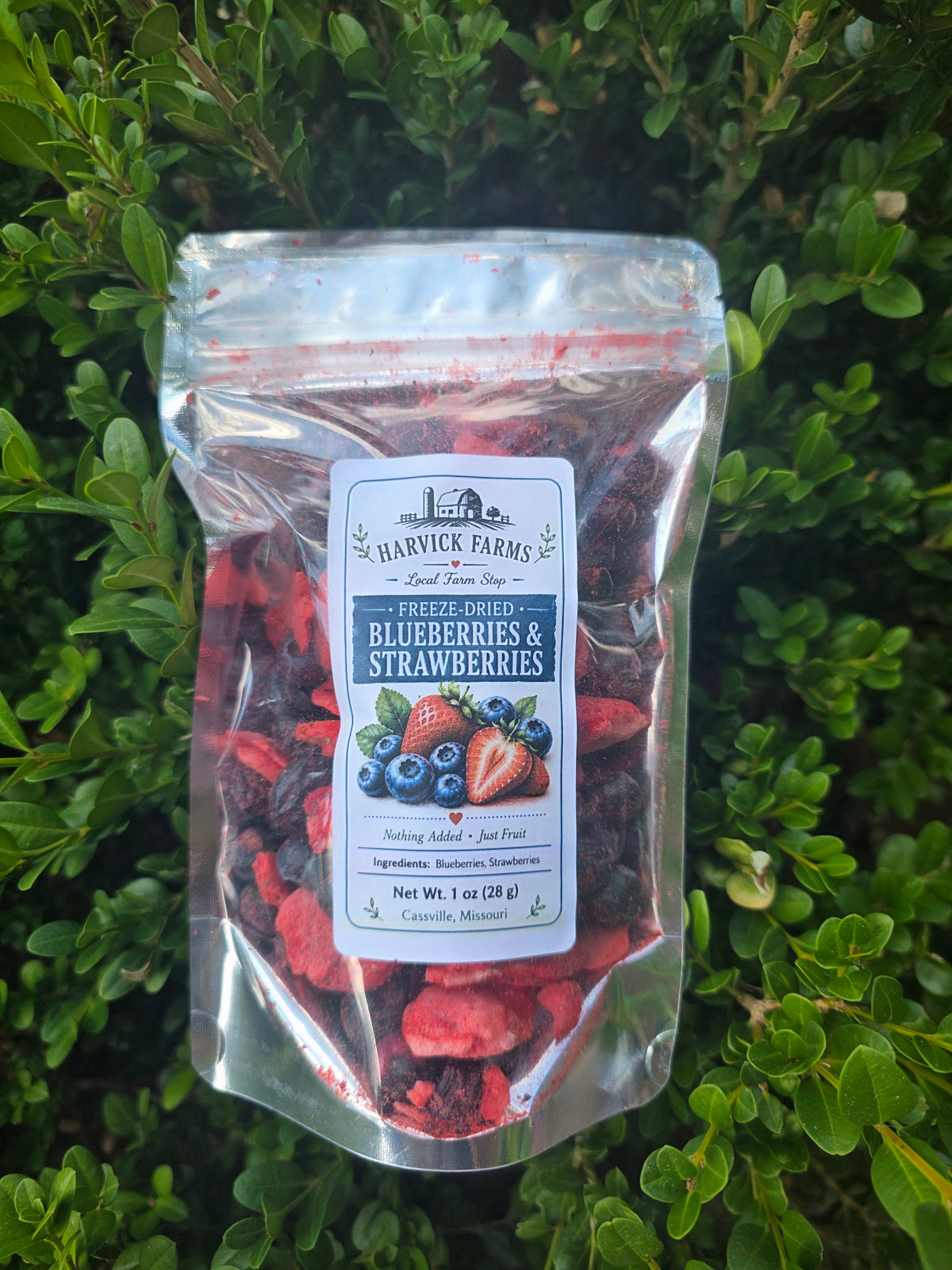A clear stand-up pouch of Harvick Farms Freeze Dried Blueberries & Strawberries placed on green foliage. The pouch contains freeze-dried red and dark blue berries, with a white label showing blueberries and strawberries.