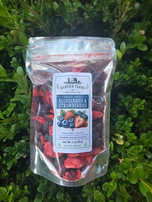 A clear stand-up pouch of Harvick Farms Freeze Dried Blueberries & Strawberries placed on green foliage. The pouch contains freeze-dried red and dark blue berries, with a white label showing blueberries and strawberries.