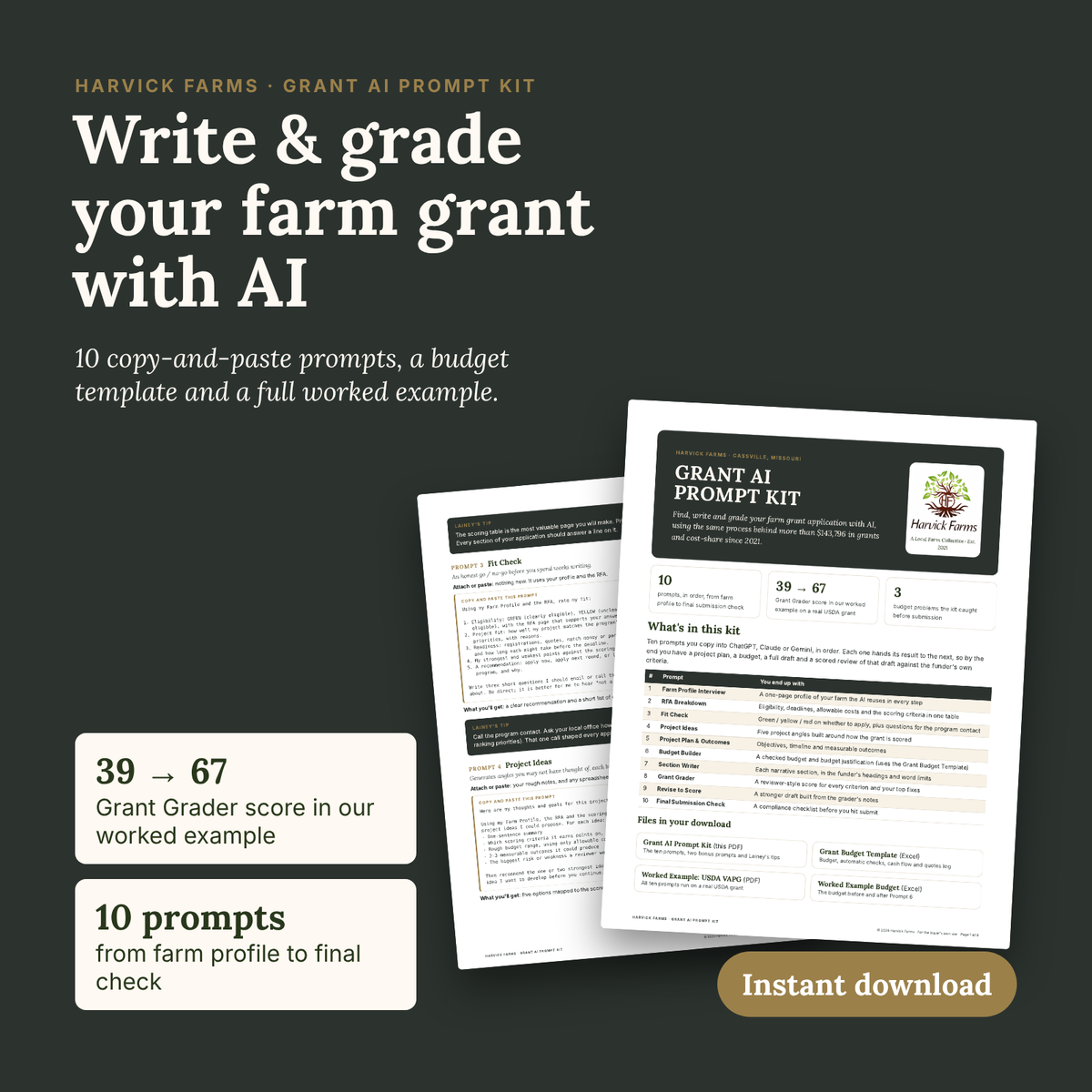 Grant AI Prompt Kit