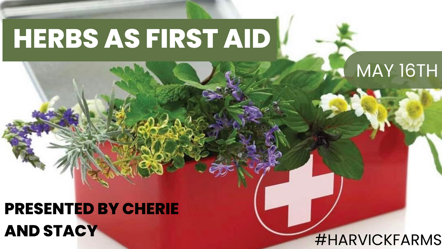 Herbs as First Aid 101 - 5/16 5:30-6:30p