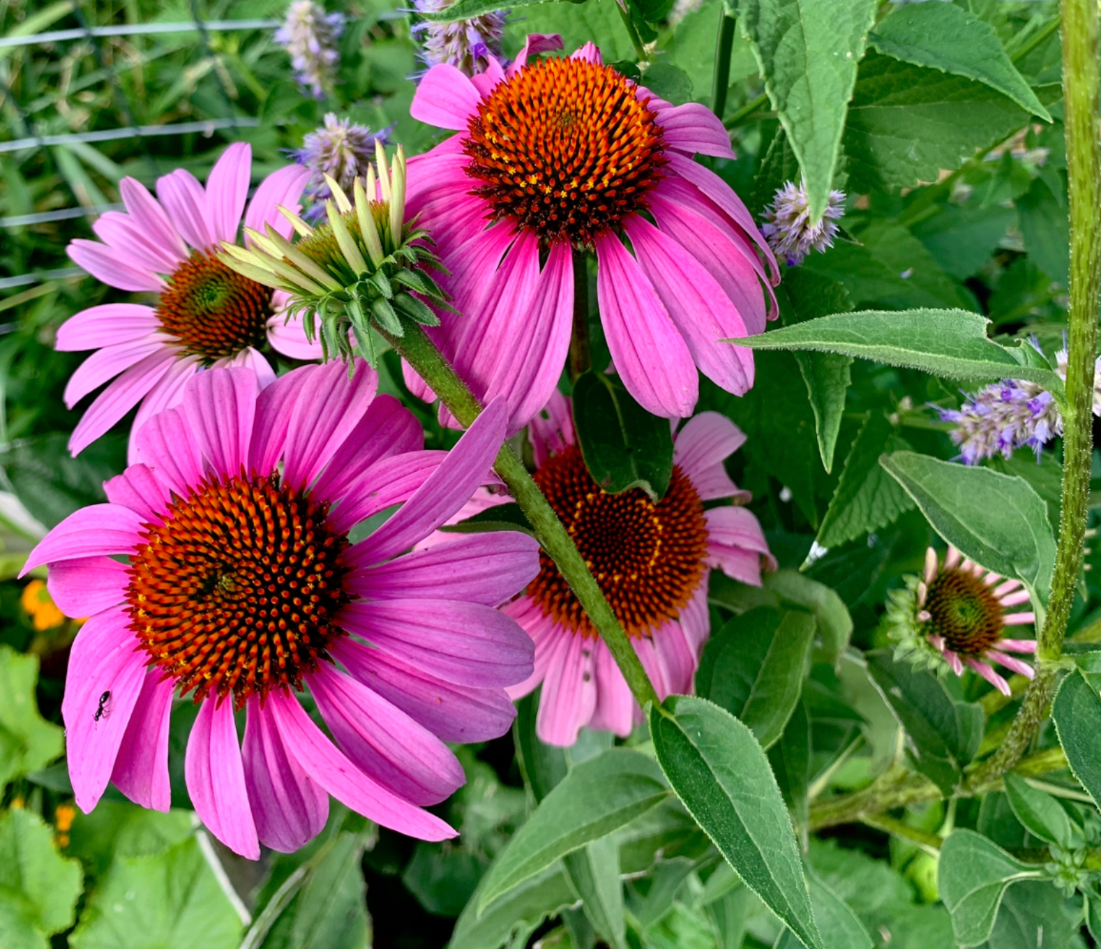 8d1295-2.myshopify.com image