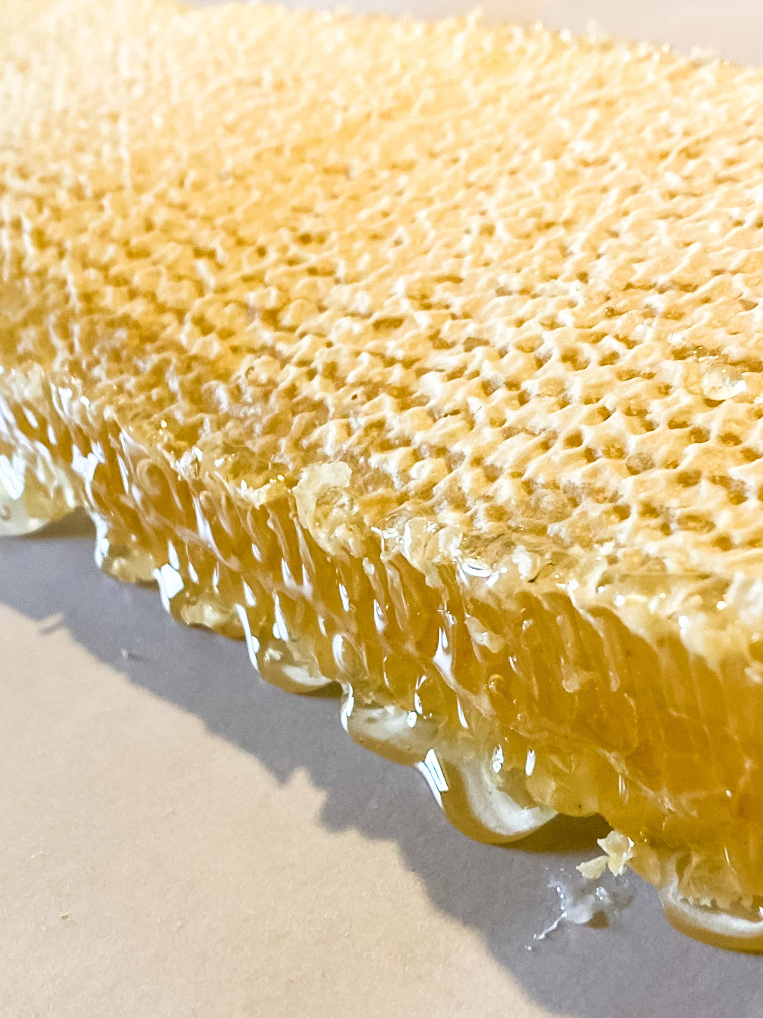 Honey Sticks Wildflower Honey- Pack of 16 Messner Bee Farm