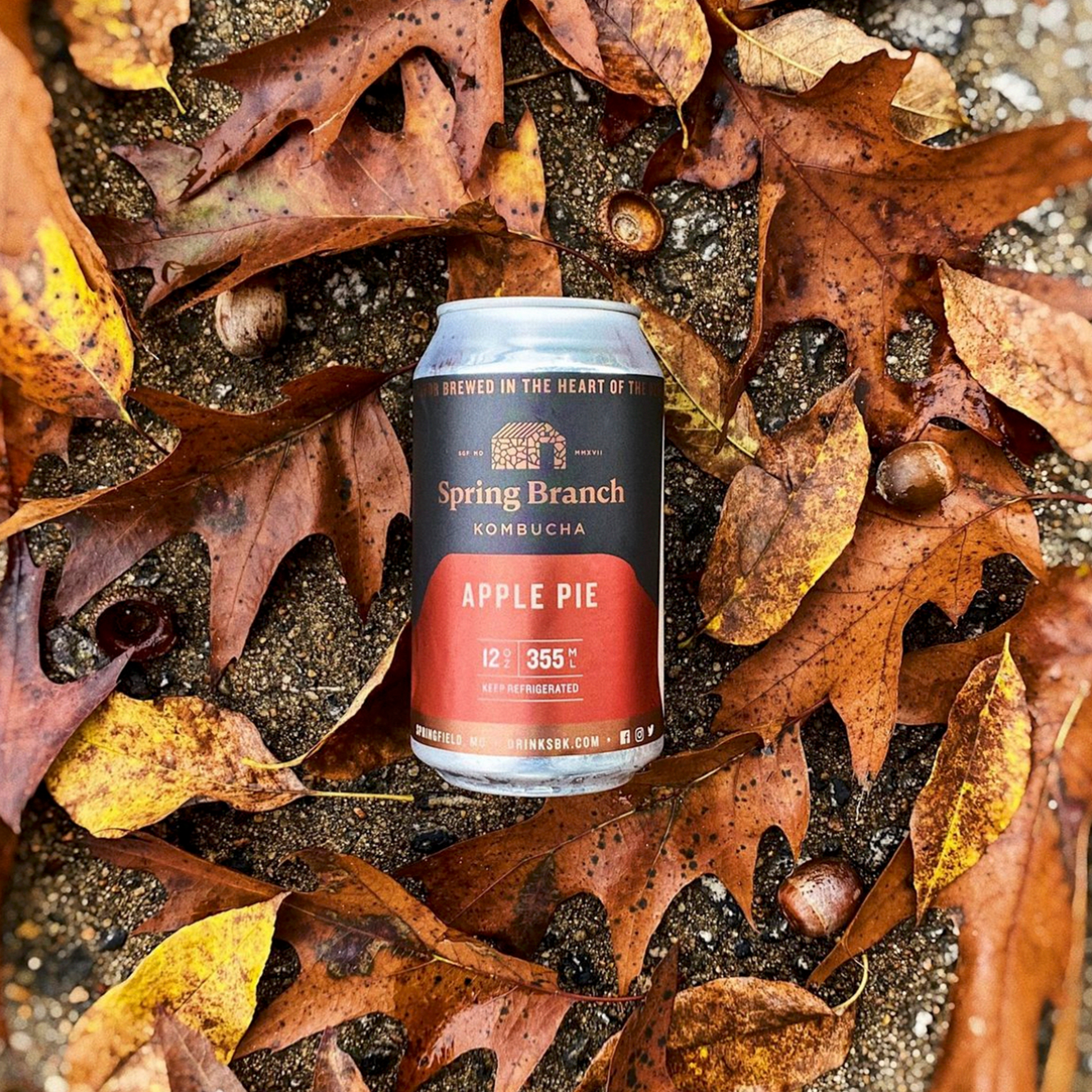 Apple Pie Kombucha - Low Sugar, Gluten-Free, Vegan, 12 oz Spring Branch Kombucha