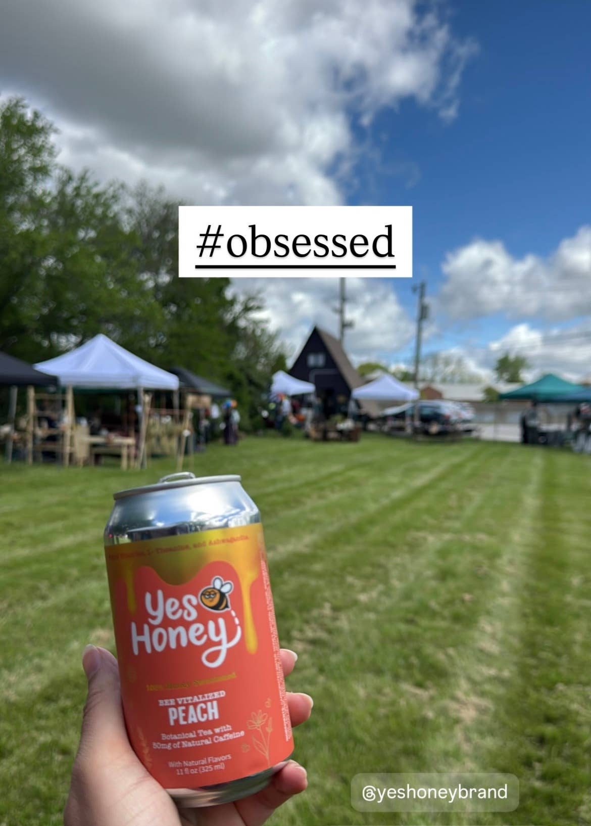 Yes Honey - 100% Honey Sweetened Soda - Peach Vitality Yes Honey