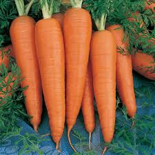 Carrots