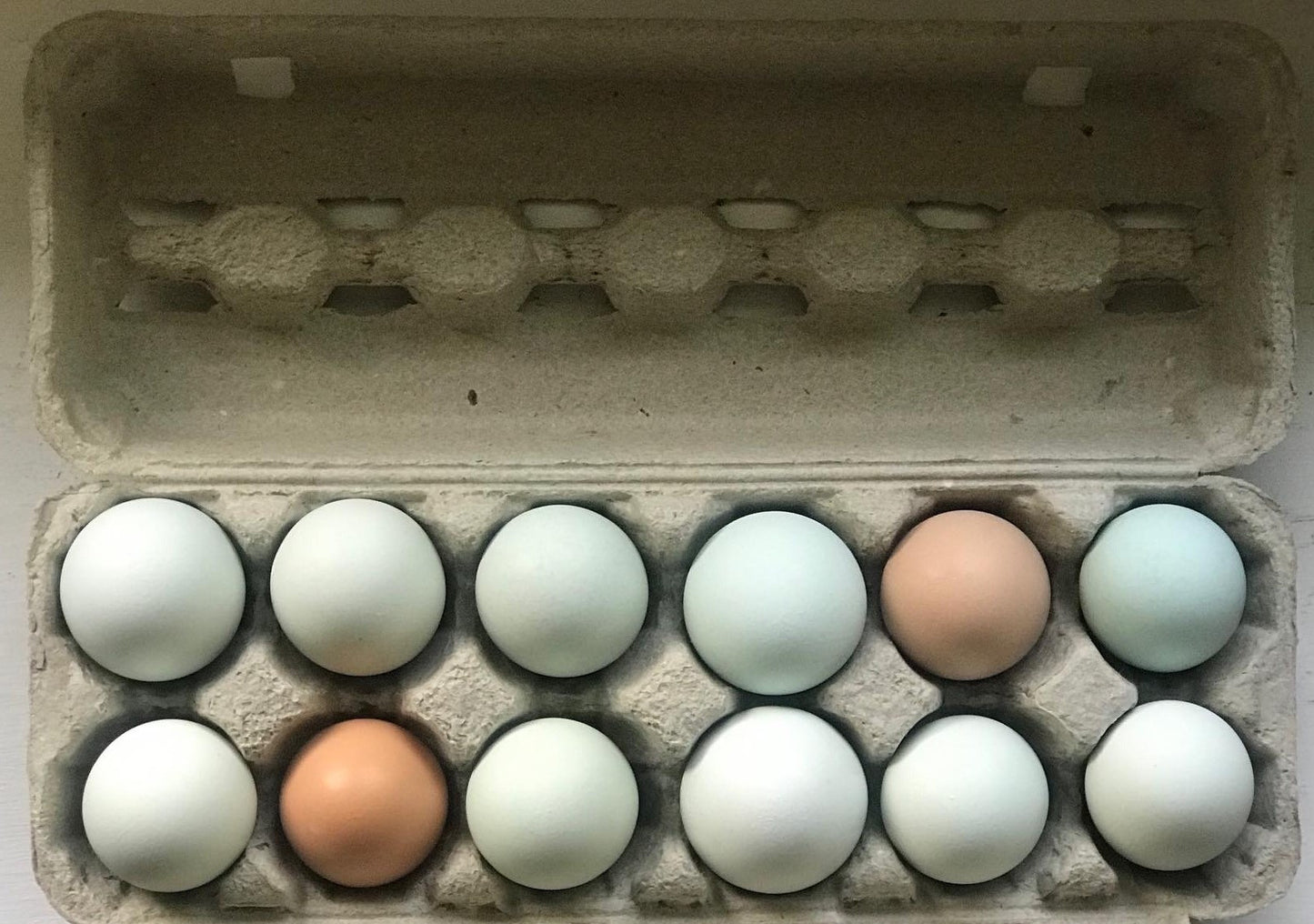 2025 Dozen Farm Fresh Eggs