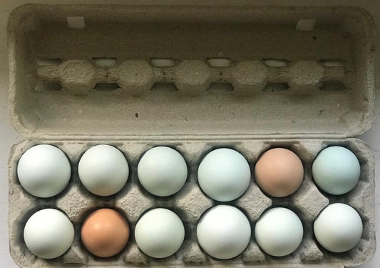 2025 Dozen Farm Fresh Eggs