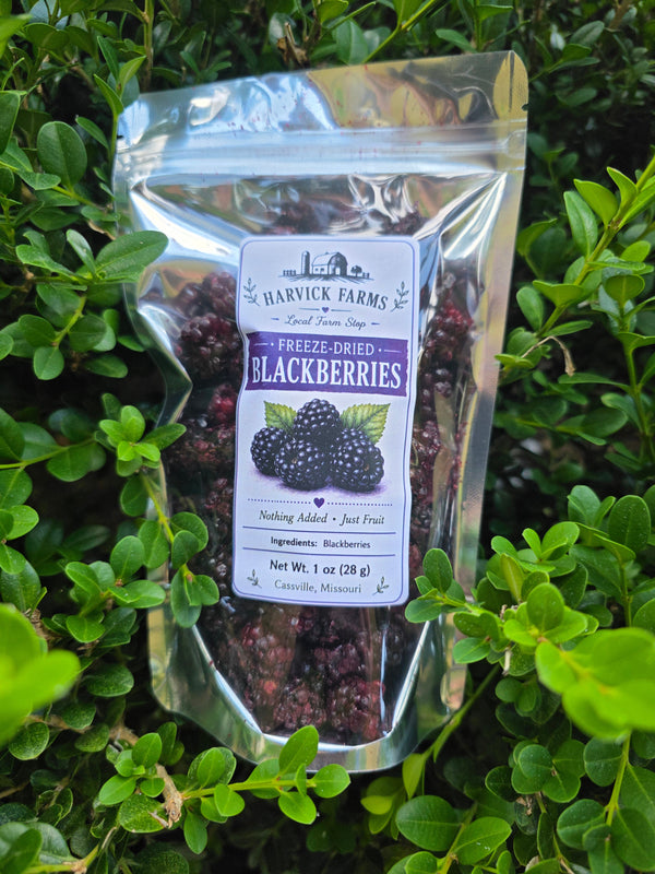A clear stand-up pouch of Harwood Farms Freeze-Dried Blackberries placed on green leafy foliage. The label shows the Harvick Farms logo and a blackberry illustration.