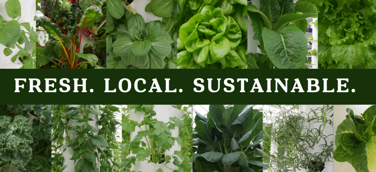 Fresh Greens by The Fresh Greens Project Harvick Farms