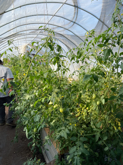 Join Our Harvick Farms Seasonal Membership – Redeemable Store Credit & Save Up To $200