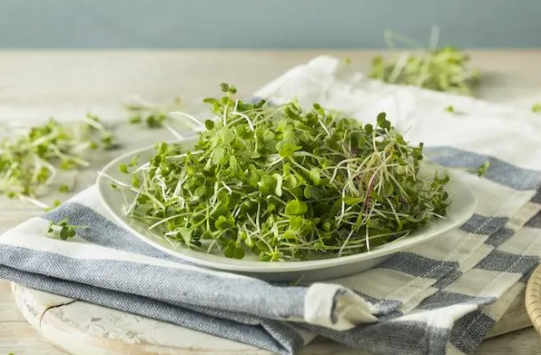 Fresh Microgreens Mix – The Top 4 Powerhouse Varieties Essential Microgreens