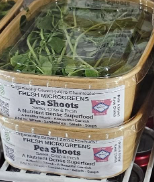 Fresh Microgreens Mix – The Top 4 Powerhouse Varieties Essential Microgreens