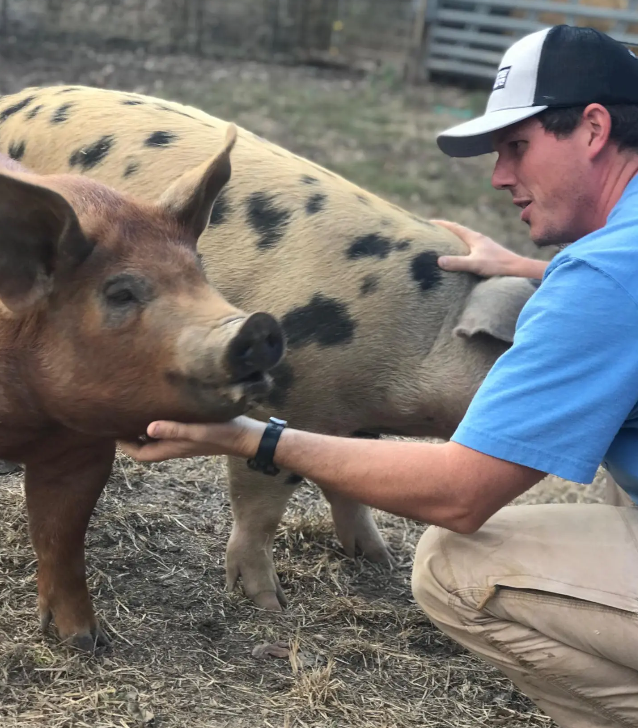 Pasture-Raised Farm Meats (Pork & Chicken) by Bulmanski Farms Harvick Farms