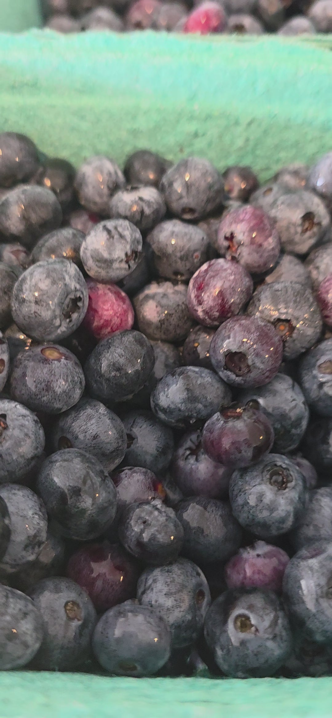 blueberries